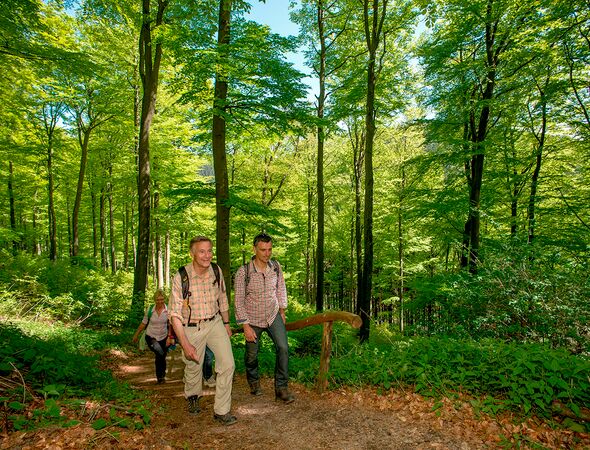 Wanderer Waldweg