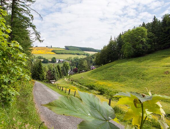 Gut Vorwald Talblick