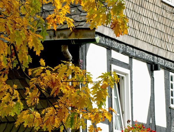 Huis en boomtak met herfstbladeren