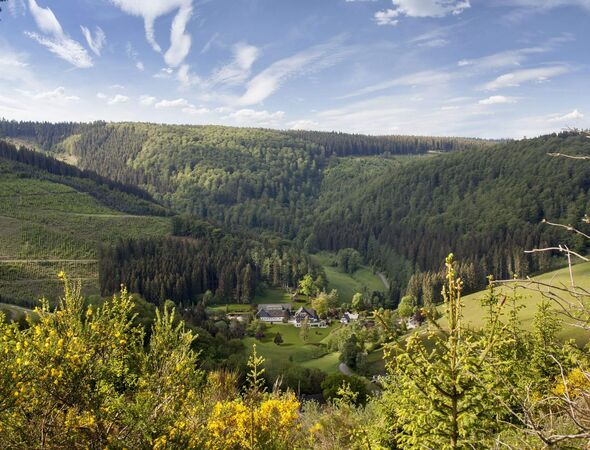 Aussicht auf Gut Vorwald Landschaft
