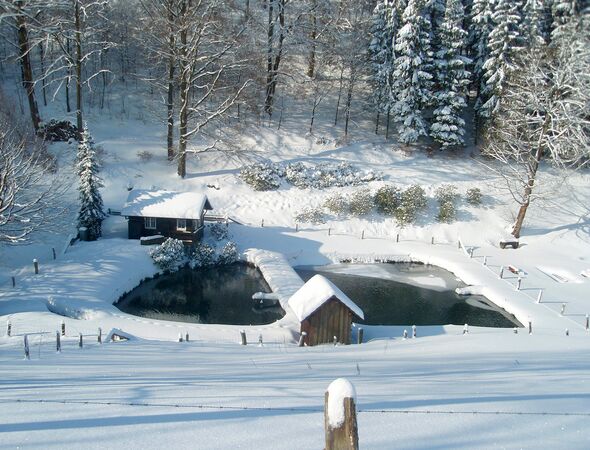 Visvijvers met winterlandschap en huisjes