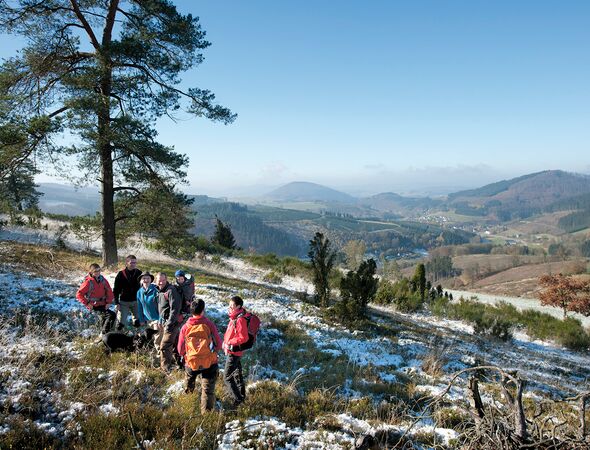 Wanderer Waldweg Winterzeit