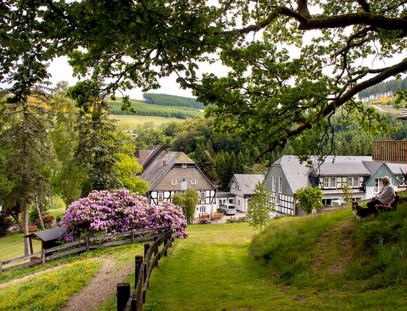 Gut Vorwald Aussenbereich blühende Landschaft
