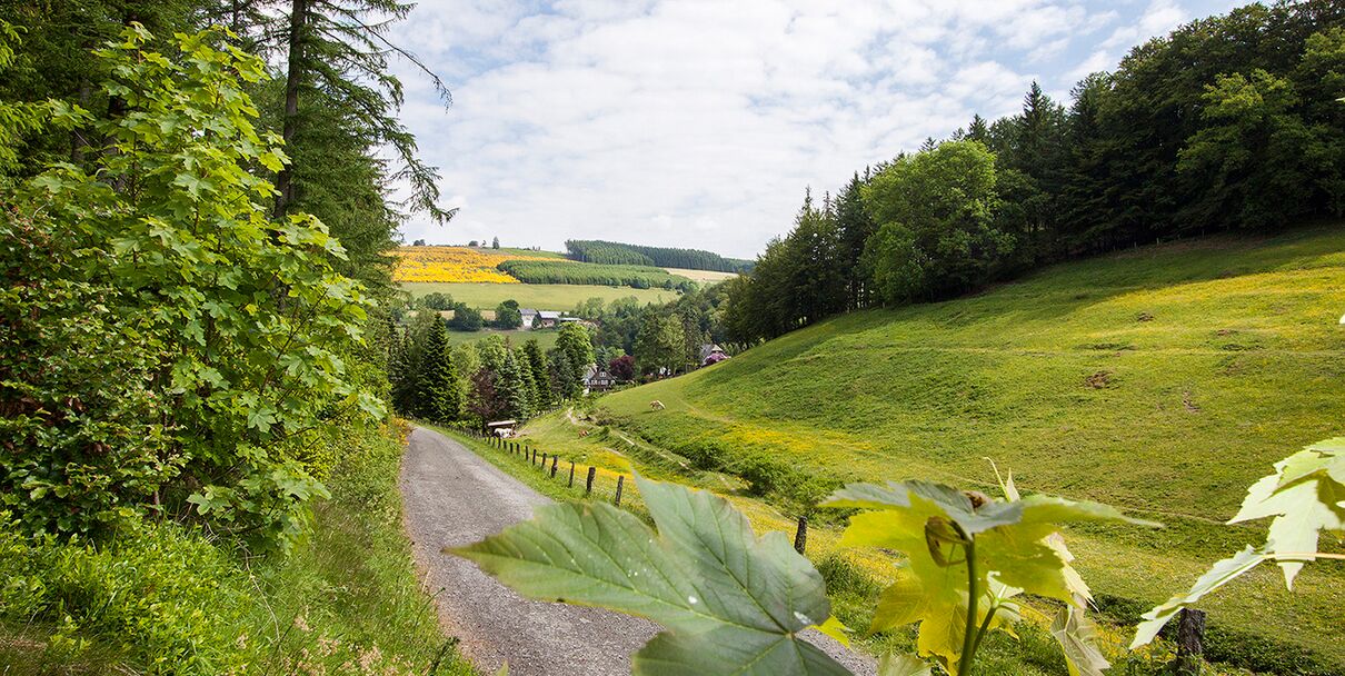 Kleine Haus-Wanderrundwege