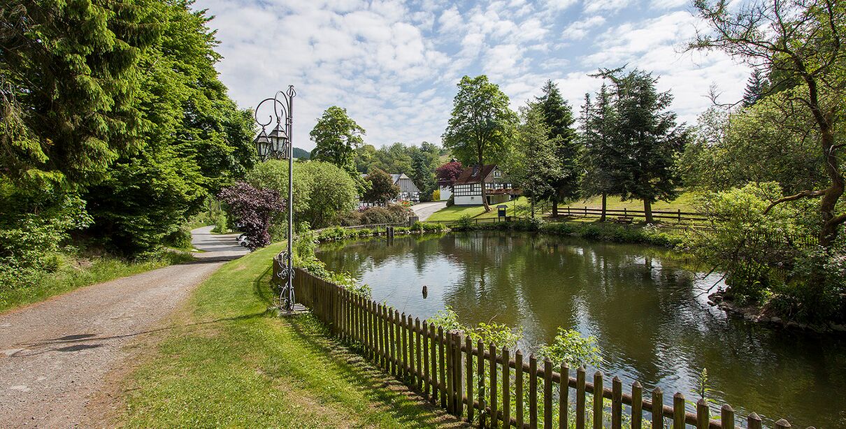 korte wandeling om de vijver