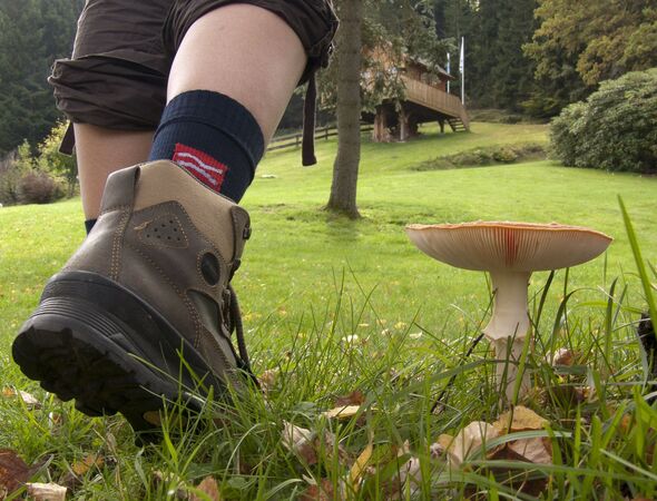 Wandern