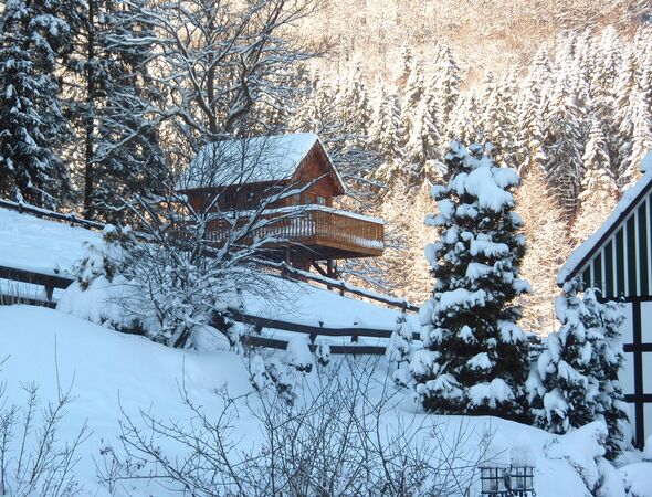 Boomhut met winterlandschap