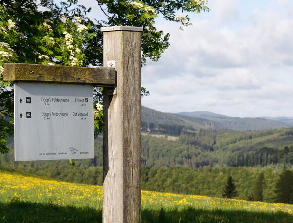 Wanderwege vom Hotel aus