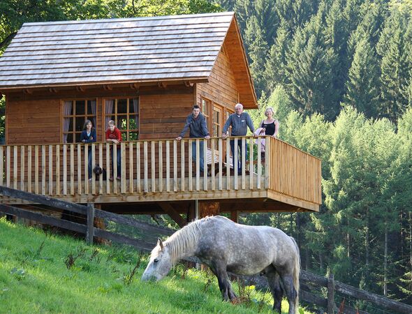 Boomhut met paarden