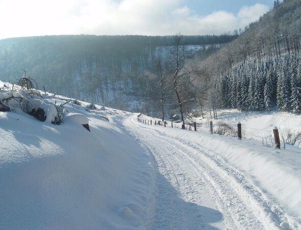 Wandelpad in de winter