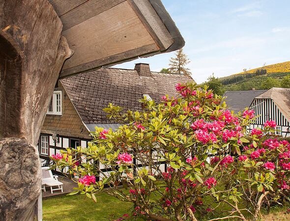 Hotel Aussenbereich Bäume Madonnaskulptur