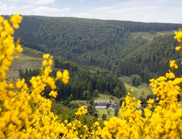 Aussicht auf Gut Vorwald Landschaft