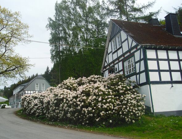 Jachthuis voor rododendronbloesem