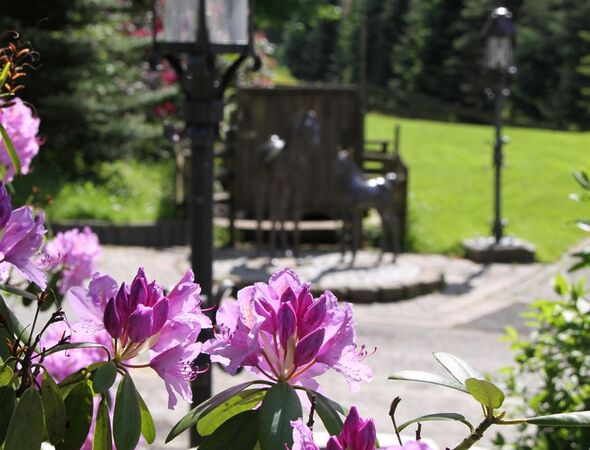 Hotel Café Terras Bloemen