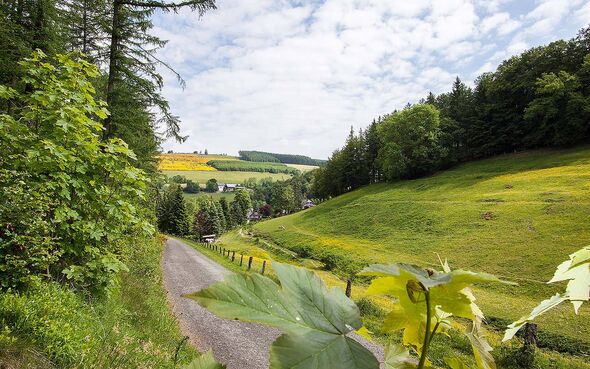 Natur pur im schönen Sauerland