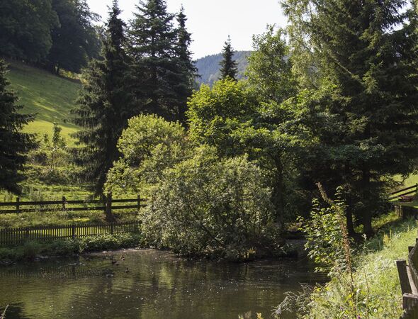 Gut Vorwald Teich Landschaft